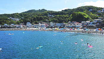 川奈いるか浜