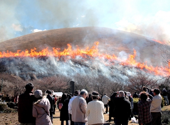 大室山山焼き