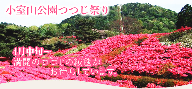 小室山つつじ園